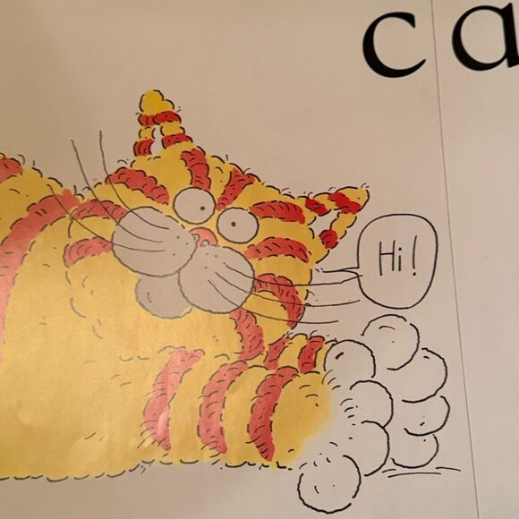 Set of 5 DK Big Books Vowel Sounds Classroom Book Pat Cat Zug Bug Tog Dog 14” - Picture 13 of 14